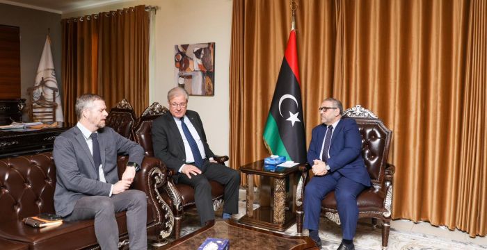 Libyan Health Sector: Charting the Course for the Next Five Years