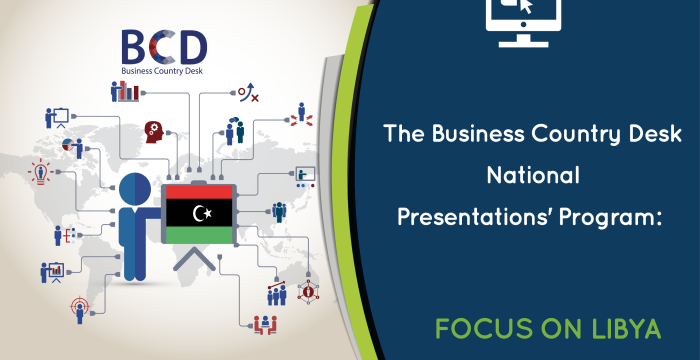 Online Seminar on the Business Country Desk (BCD) Platform