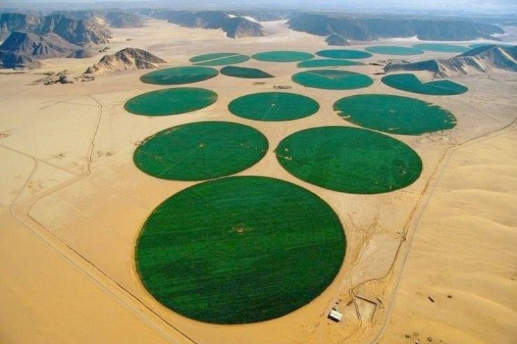 Libyan Circular Agriculture