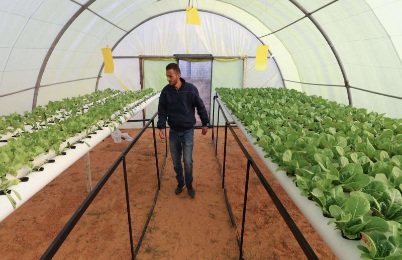 Farming solution in Libya