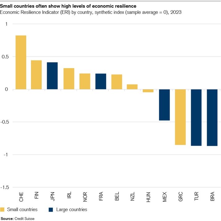 Assessing Economic Resilience